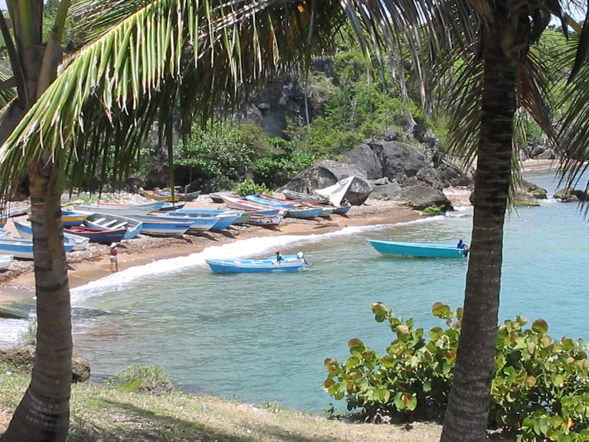 Hotel El Viejo Pirata Boca de Yuma Exteriér fotografie